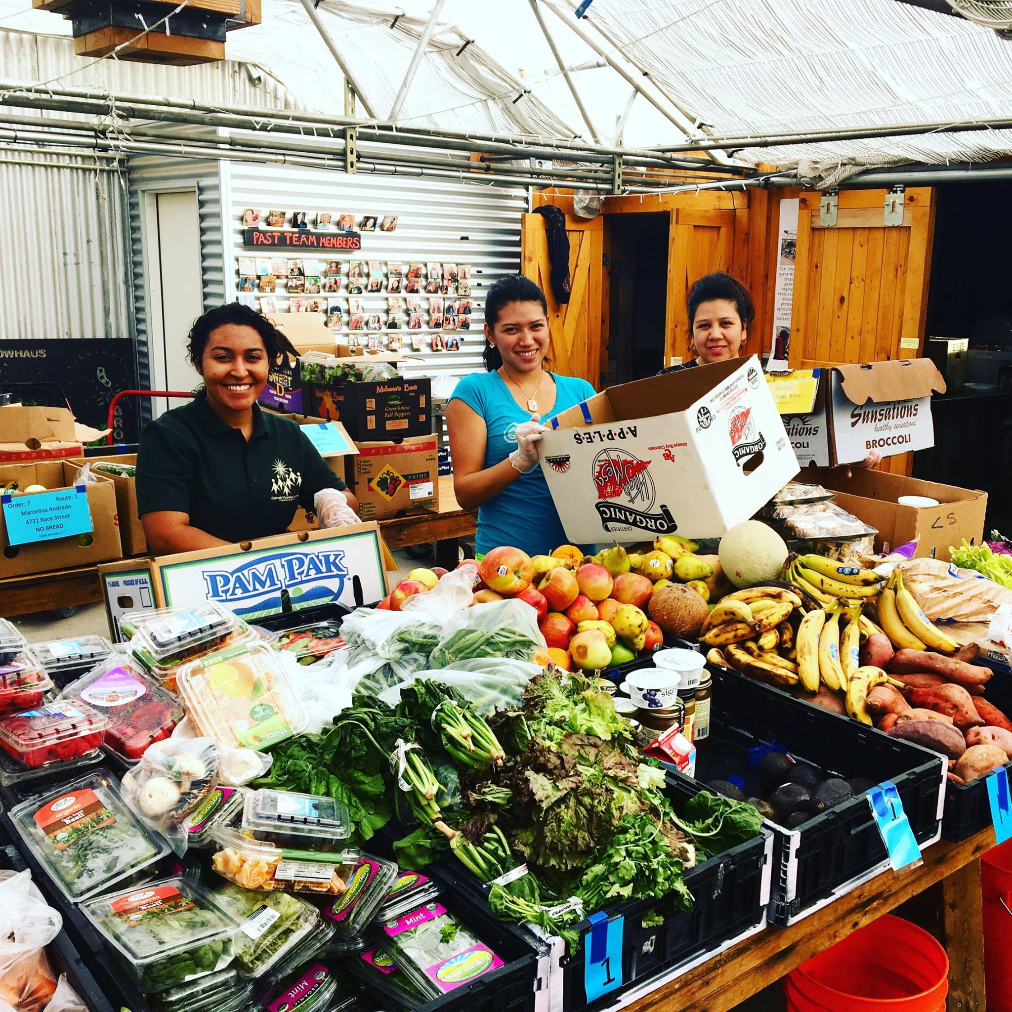 The No Cost Grocery Program